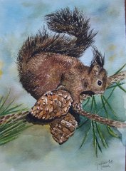 scoiattolo - acquarello su carta per acq cm 21x29,7