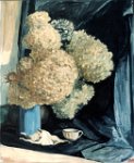 ortensie, conchiglia e tazza
