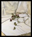 rose su panno bianco