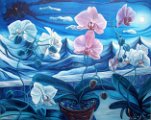 I fiori delle fate