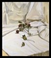 rose su panno bianco
