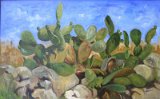 REGAZZONI_Naturale_disordine