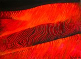 IMG_4815