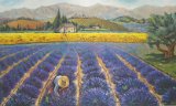 lavanda