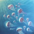 meduse
